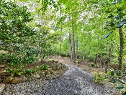 a view of a garden with a tree