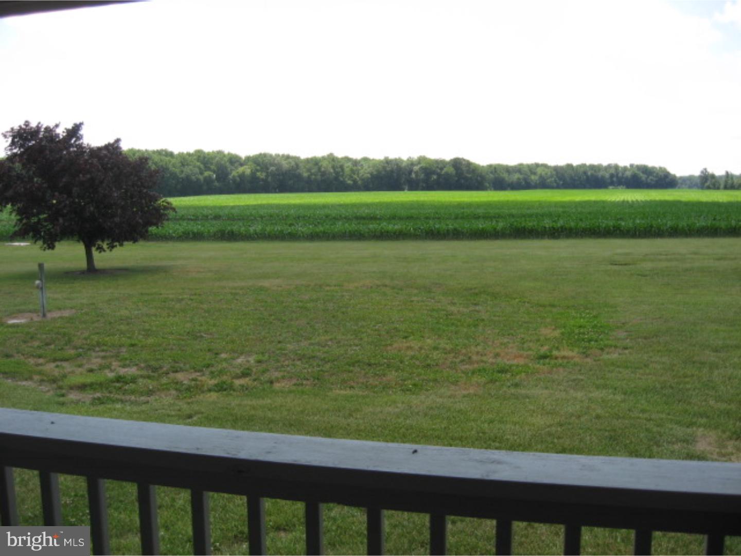 304 Gallo Road Harrington, DE 19952 - Photo 21 of 25 Gallery Image 21