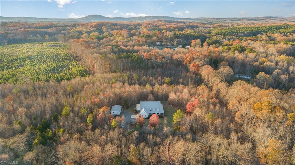640 Gallimore Road Denton, NC 27239 - Photo 44 of 49 Gallery Image 44