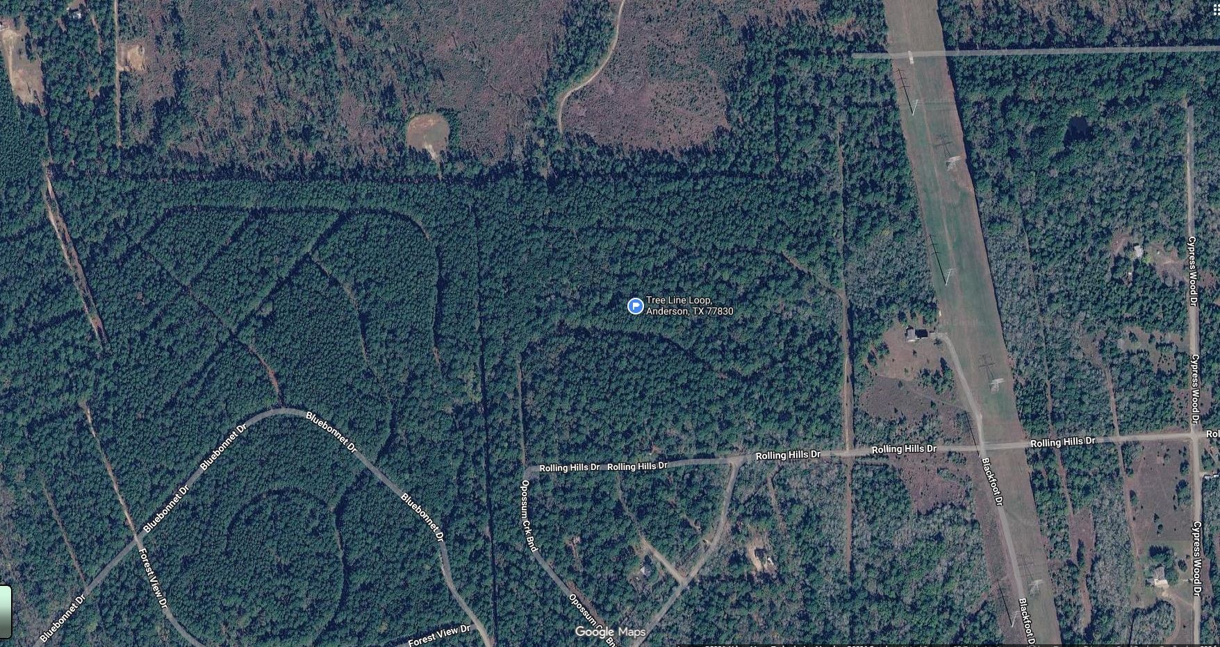 Tbd Tbd Tree Line Loop Navasota, TX 77868 - Photo 3 of 4 Gallery Image 3