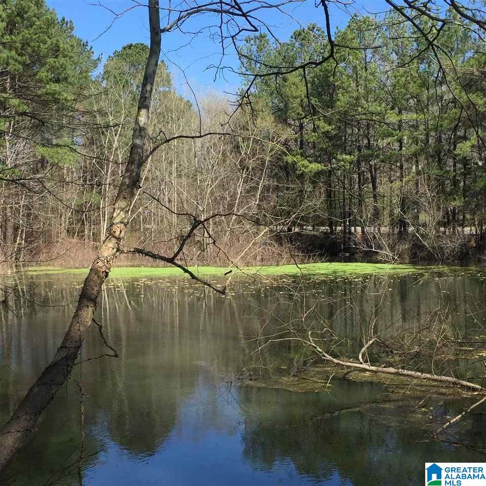 4925 Cahaba Valley Road, Unit 2 Birmingham, AL 35242 - Photo 1 of 8