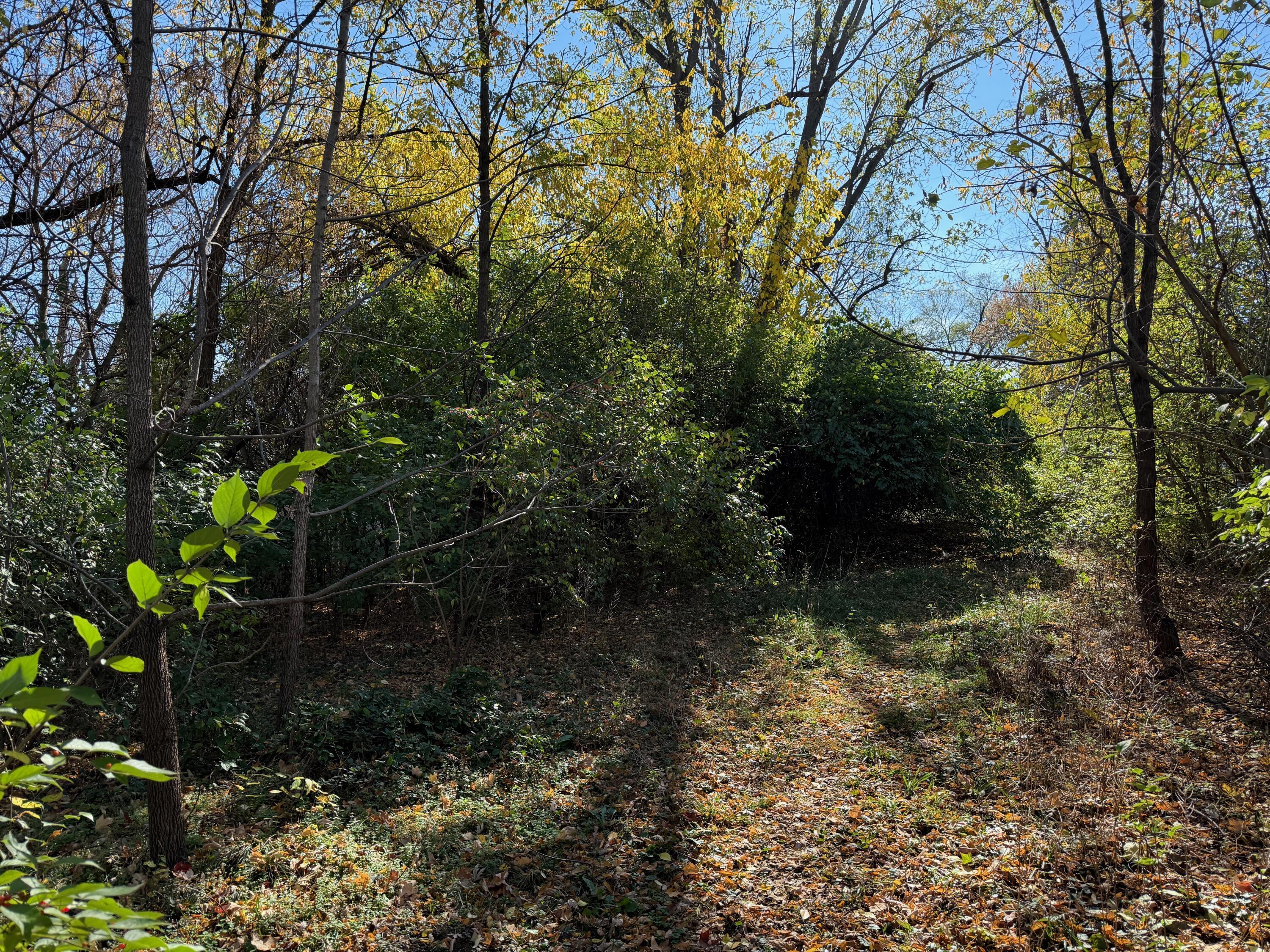 0 Evergreen Road Columbus, OH 43207 - Photo 2 of 3 IMG_4004