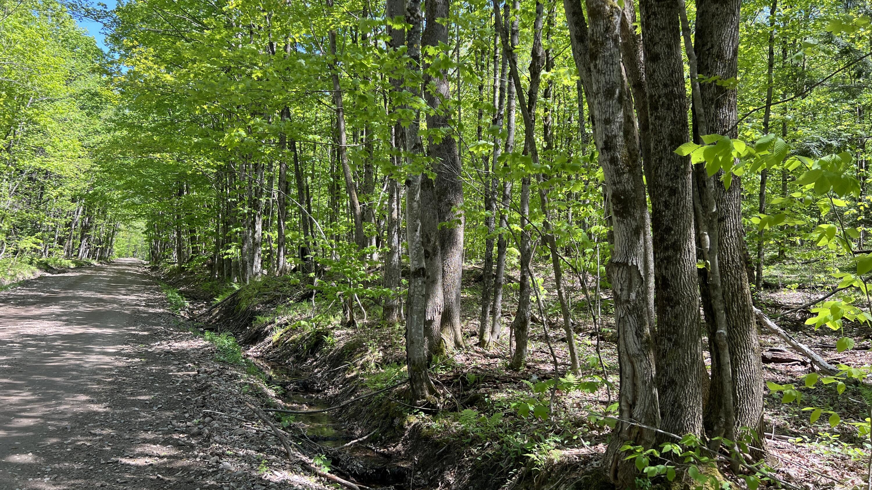0 French Settlement Road Chateaugay, NY 12920 - Photo 13 of 15 French Settlement Road.
