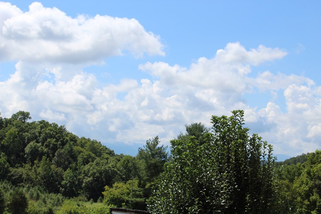 835 Sharp Road Sevierville, TN 37876 - Photo 12 of 26 Gallery Image 12