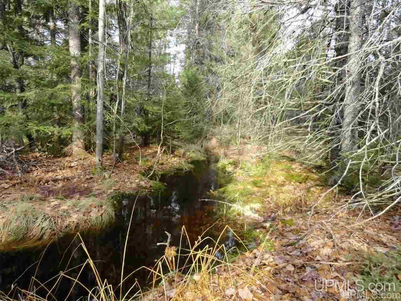 80-acres 80-acres Co Road Negaunee, MI 49866 - Photo 39 of 45