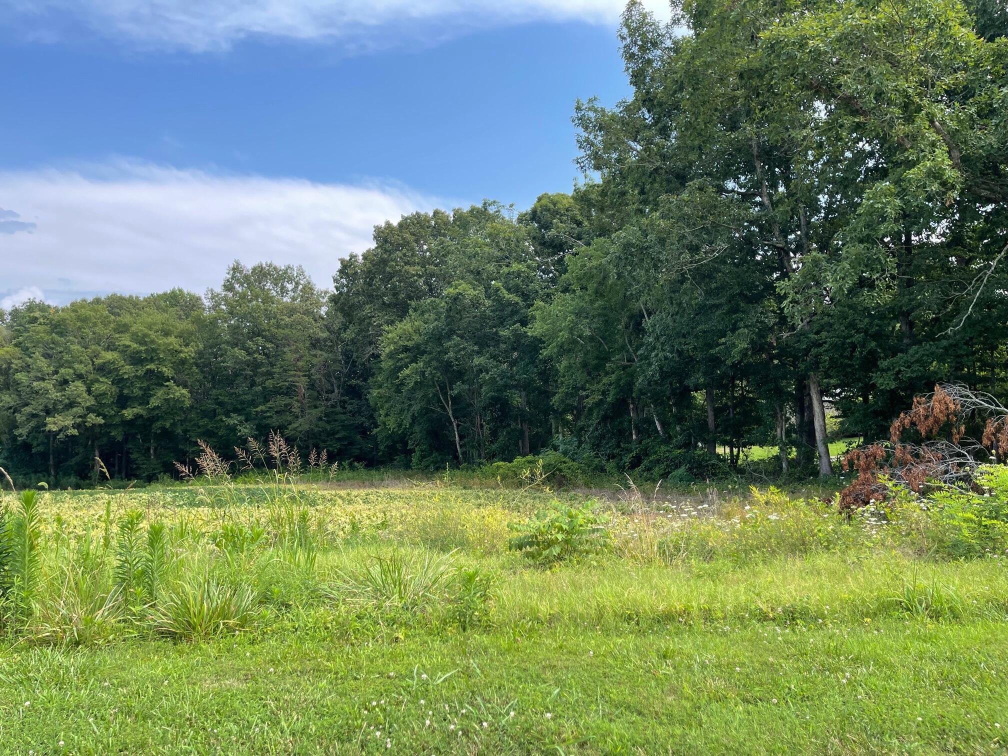 984 Beulah Road Rocky Mount, VA 24151 - Photo 1 of 7 984 Beulah Road