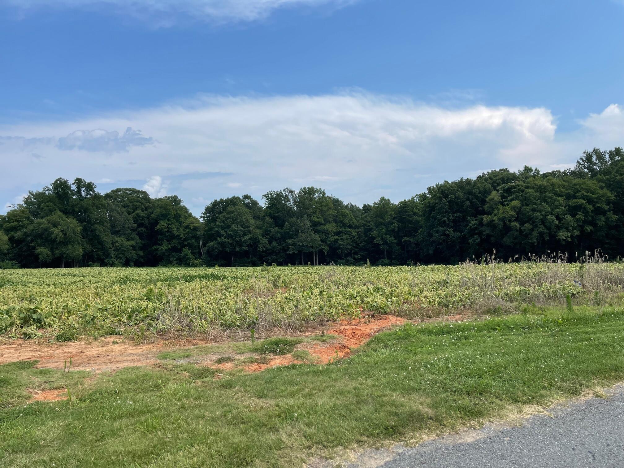 984 Beulah Road Rocky Mount, VA 24151 - Photo 2 of 7 984 Beulah Road