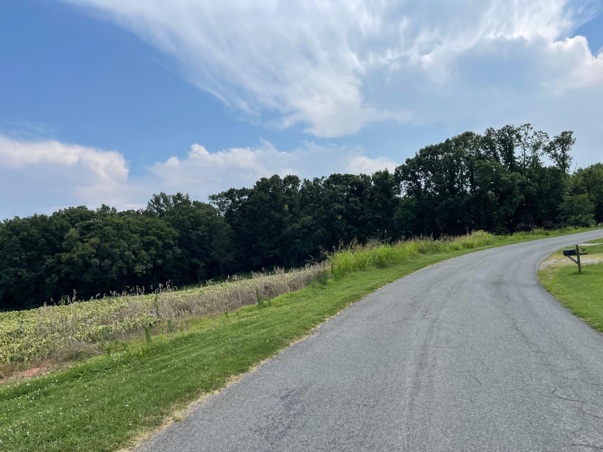 984 Beulah Road Rocky Mount, VA 24151 - Photo 3 of 7 984 Beulah Road