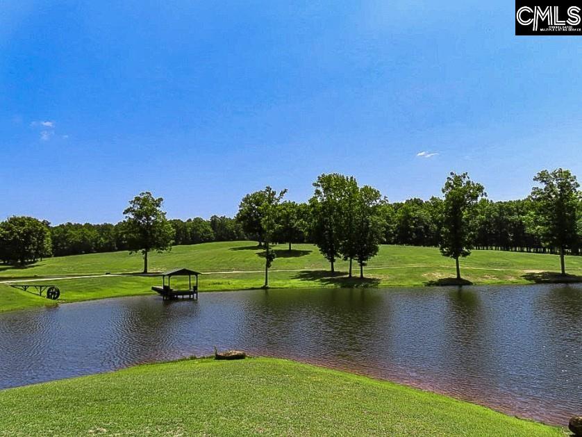 3296 Flat Rock Road Kershaw, SC 29067 - Photo 85 of 94