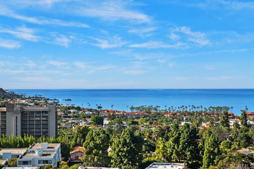 2500 Torrey Pines Road, Unit 1101 La Jolla, CA 92037 - Photo 10 of 60