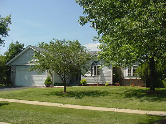 3353 North Trainer Road Rockford, IL 61114 - Photo 1 of 6 a backyard of a house with plants and large tree