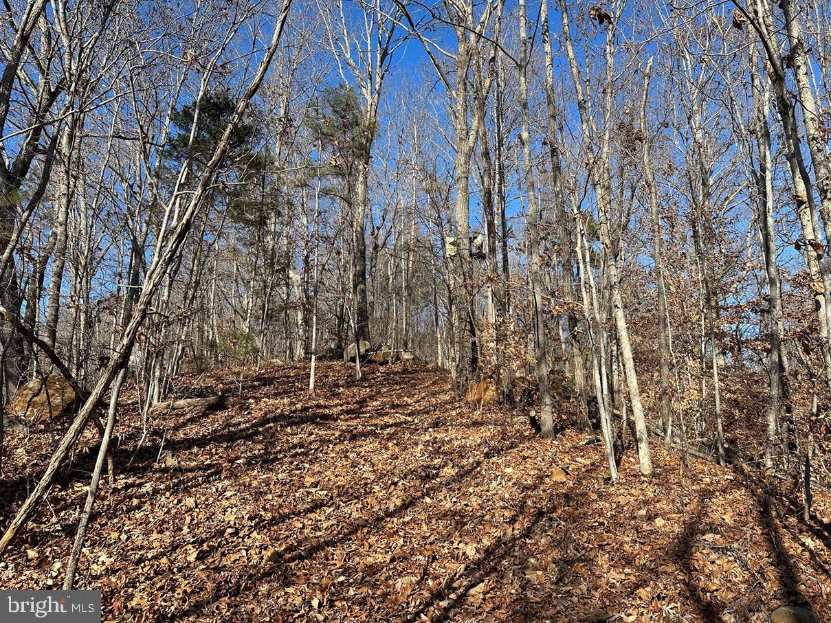 Old Driver Hill Road Scottsville, VA 24590 - Photo 16 of 20 a backyard of a building