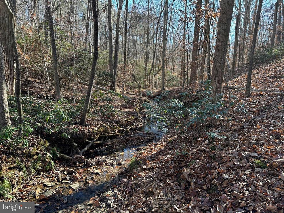 Old Driver Hill Road Scottsville, VA 24590 - Photo 6 of 20
