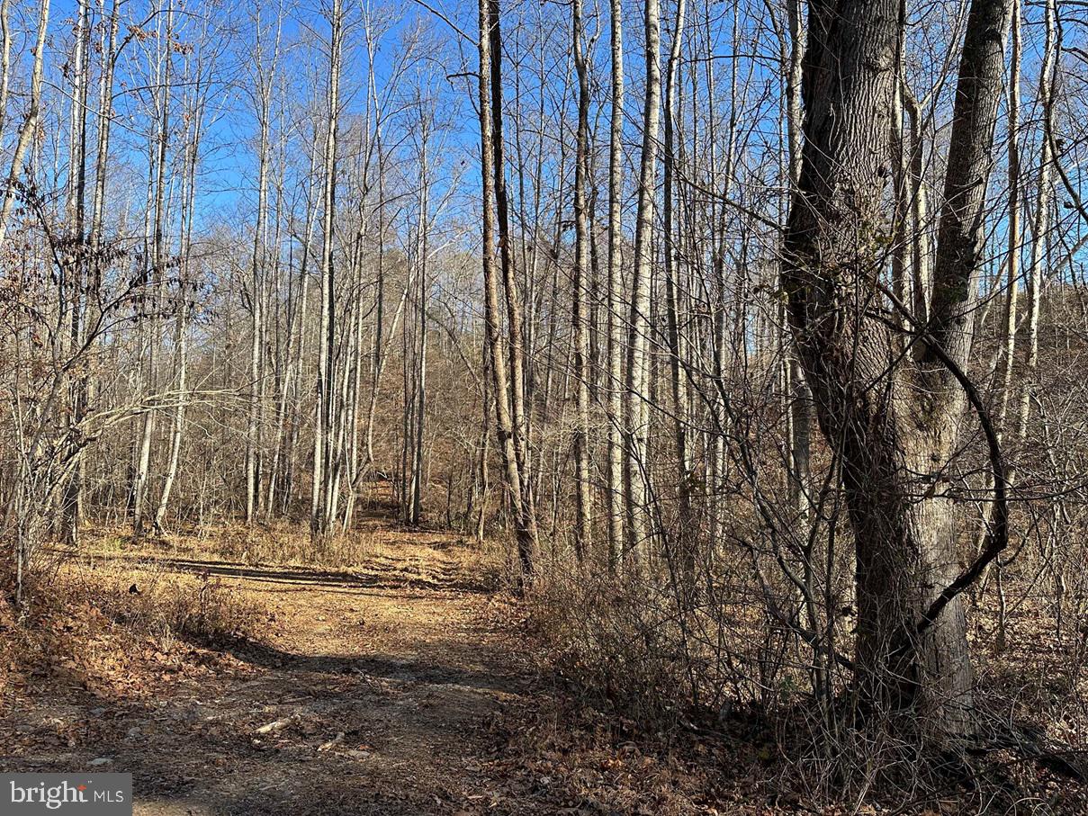 Old Driver Hill Road Scottsville, VA 24590 - Photo 10 of 20 a view of a pathway with a yard
