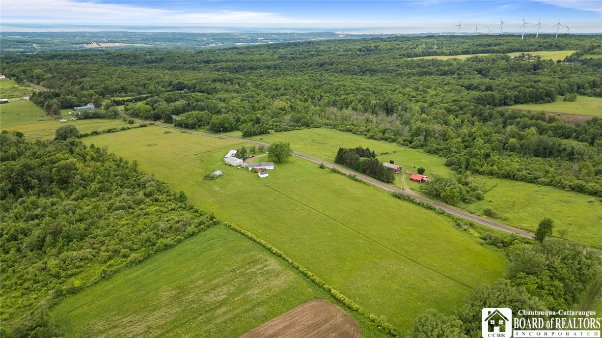 2795 Ball Road Cassadaga, NY 14718 - Photo 8 of 44