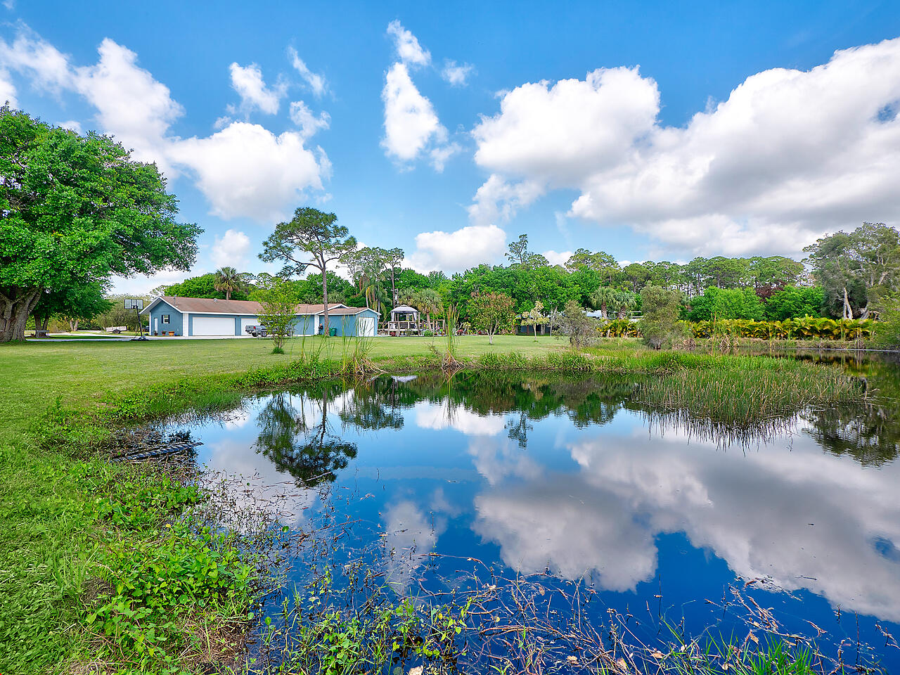 Pond