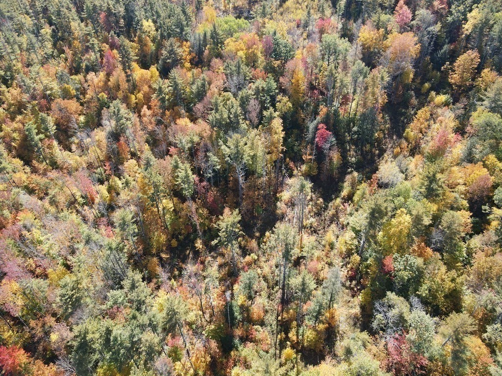 0 Thompson Road Colrain, MA 01340 - Photo 15 of 22