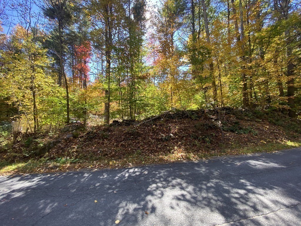 0 Thompson Road Colrain, MA 01340 - Photo 2 of 22 a view of a yard with plants and trees