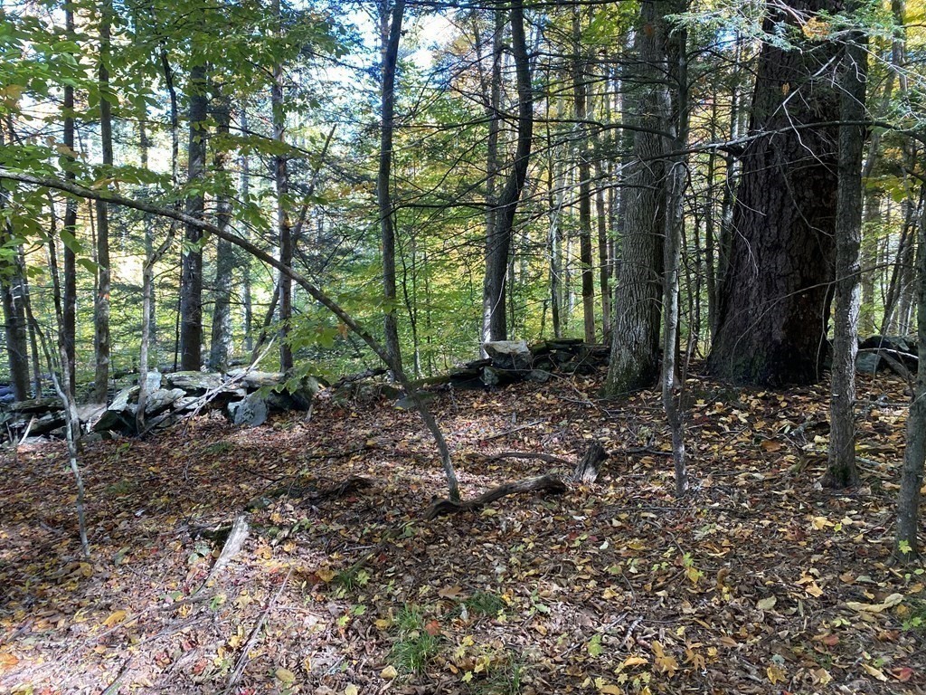 0 Thompson Road Colrain, MA 01340 - Photo 21 of 22 a view of outdoor space and trees
