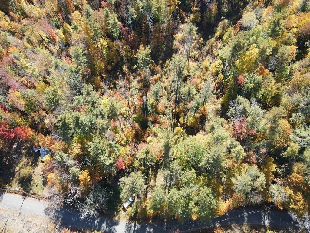 0 Thompson Road Colrain, MA 01340 - Photo 4 of 22 a view of a tree