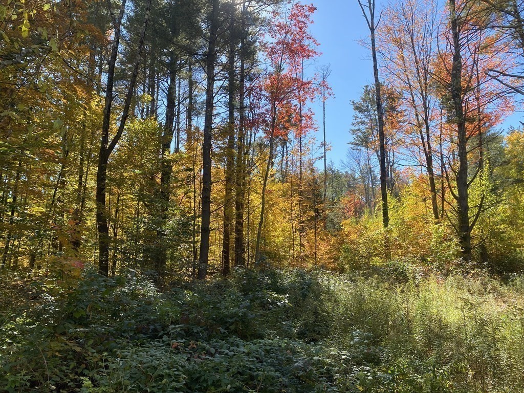 0 Thompson Road Colrain, MA 01340 - Photo 5 of 22 a view of residential houses with trees