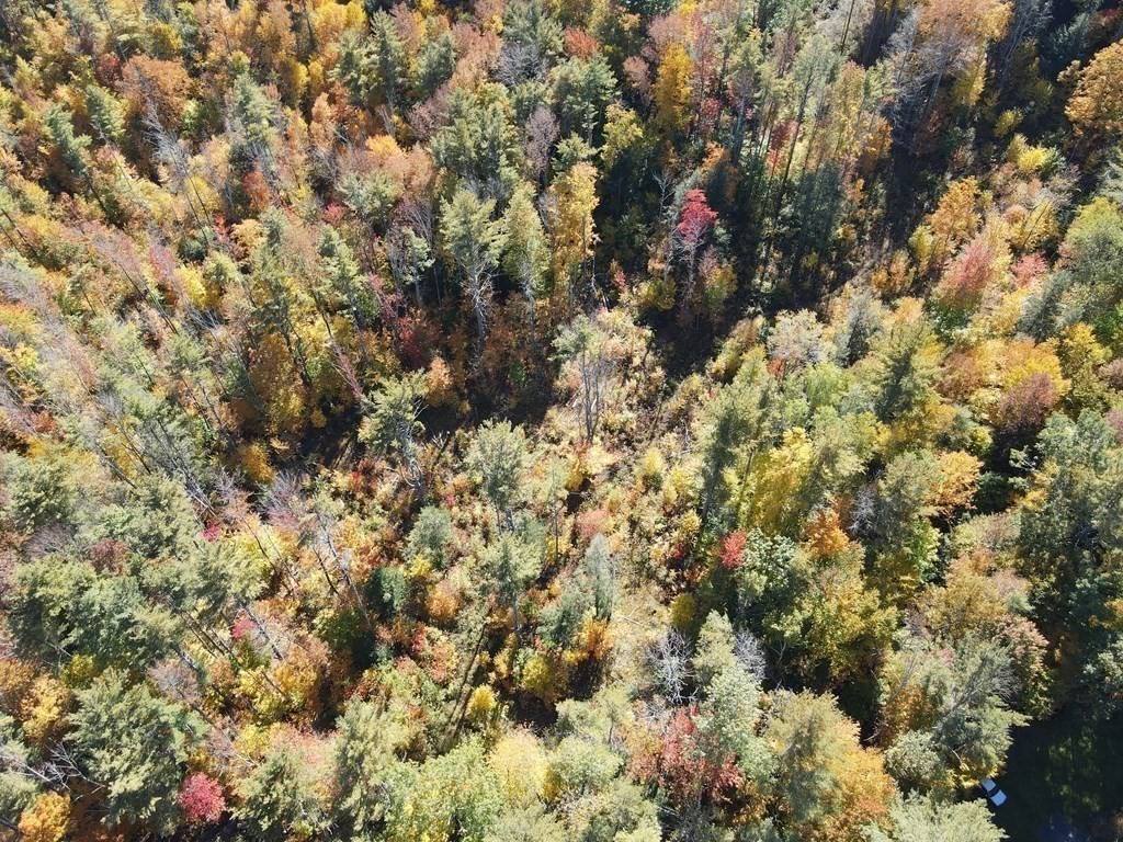 0 Thompson Road Colrain, MA 01340 - Photo 6 of 22