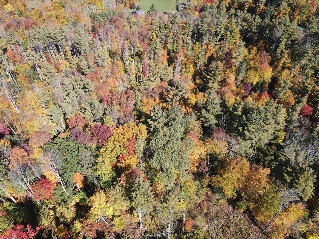 0 Thompson Road Colrain, MA 01340 - Photo 9 of 22 a view of a yard