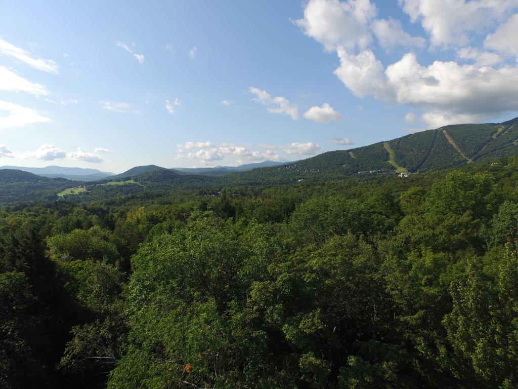 Sugarbush Woods Road Warren, VT 05674 - Photo 2 of 25 Gallery Image 2
