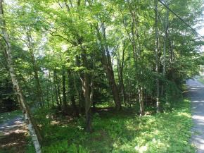 Sugarbush Woods Road Warren, VT 05674 - Photo 13 of 25 Gallery Image 13