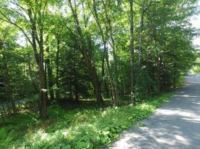 Sugarbush Woods Road Warren, VT 05674 - Photo 17 of 25 Gallery Image 17