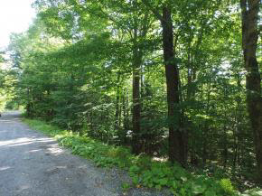 Sugarbush Woods Road Warren, VT 05674 - Photo 20 of 25 Gallery Image 20