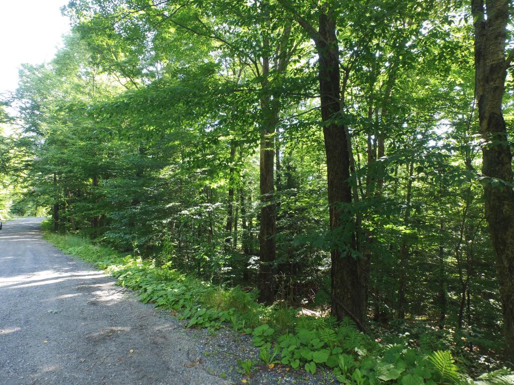 Sugarbush Woods Road Warren, VT 05674 - Photo 3 of 25 Gallery Image 3