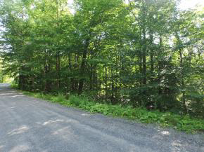Sugarbush Woods Road Warren, VT 05674 - Photo 24 of 25 Gallery Image 24