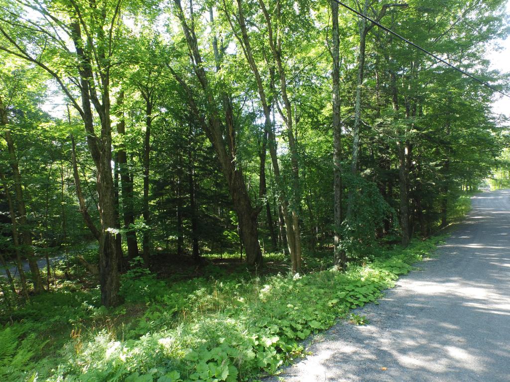 Sugarbush Woods Road Warren, VT 05674 - Photo 4 of 25 Gallery Image 4