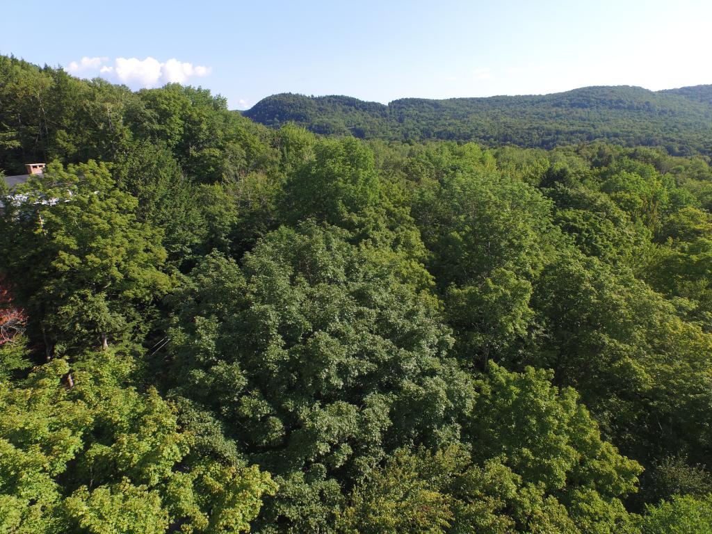 Sugarbush Woods Road Warren, VT 05674 - Photo 8 of 25 Gallery Image 8