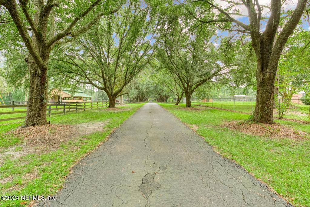 43201 Mossy Branch Callahan, FL 32011 - Photo 55 of 148 YOUR OWN "CANOPY ROAD"