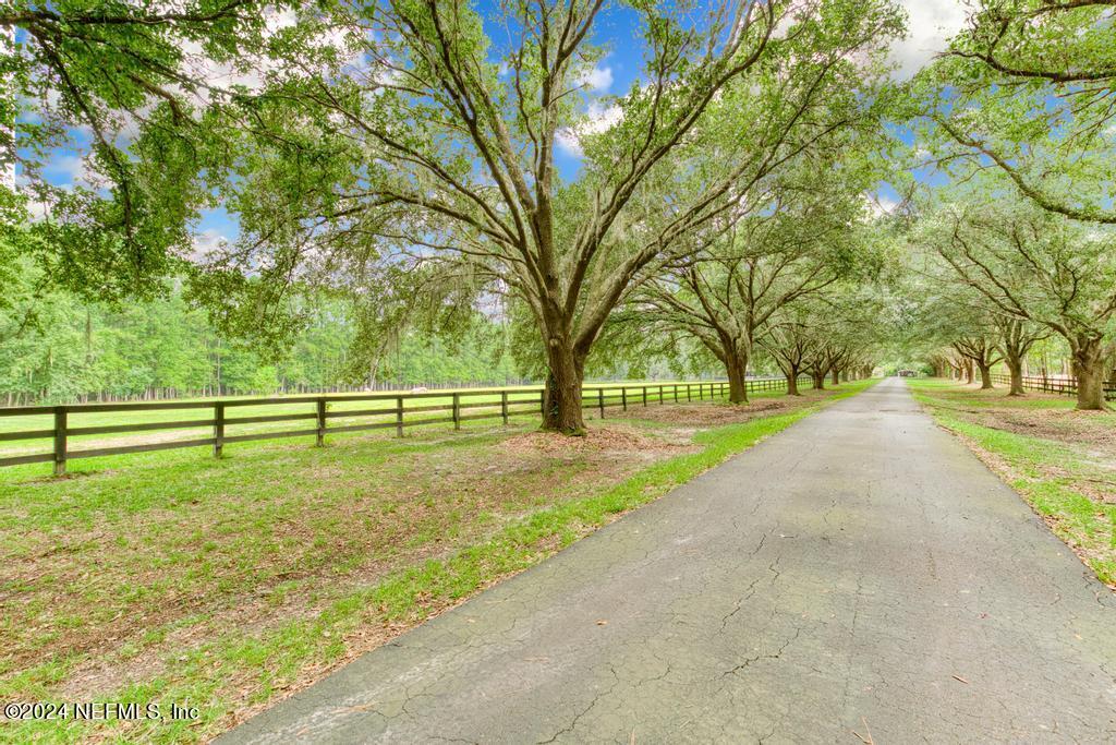 43201 Mossy Branch Callahan, FL 32011 - Photo 79 of 148 VERY PRIVATE