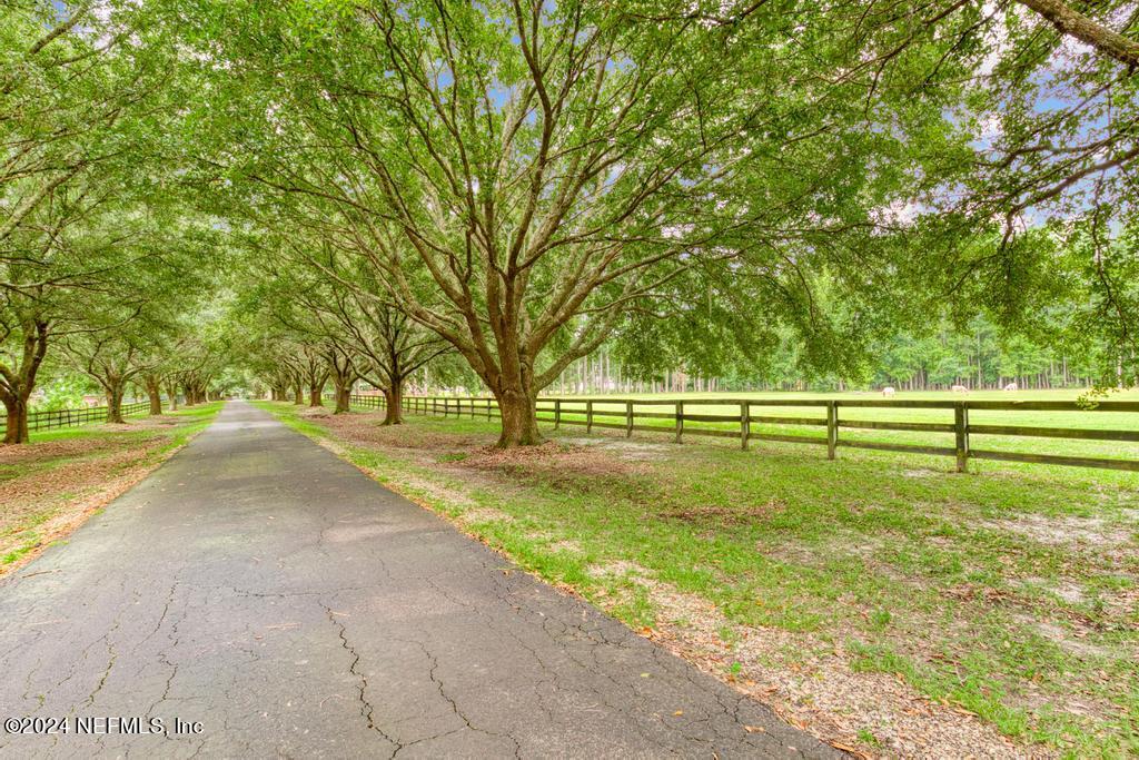43201 Mossy Branch Callahan, FL 32011 - Photo 80 of 148 PRIVATE FENCED DRIVE301 Mossy Branch-9