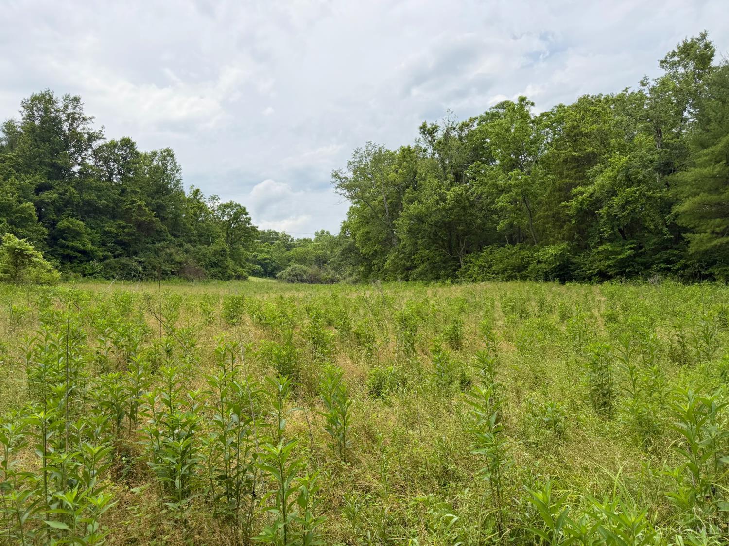 0 North Falls Road Bainbridge, OH 45612 - Photo 15 of 99
