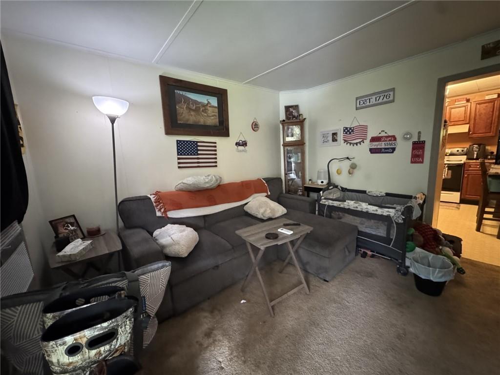 307 Gemmell Road Clune, PA 15727 - Photo 5 of 11 Gallery Image 5