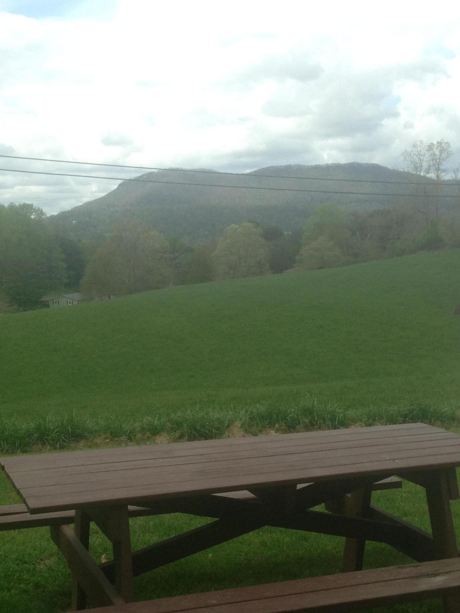 331 River Road Harrogate, TN 37752 - Photo 8 of 17 no