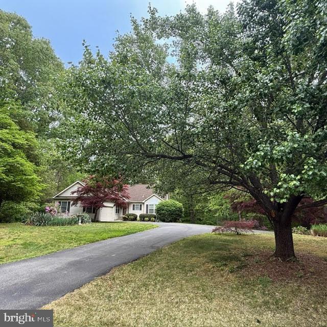15440 Sorrel Ridge Lane Waldorf, MD 20601 - Photo 45 of 48 a view of a yard with plants and large trees
