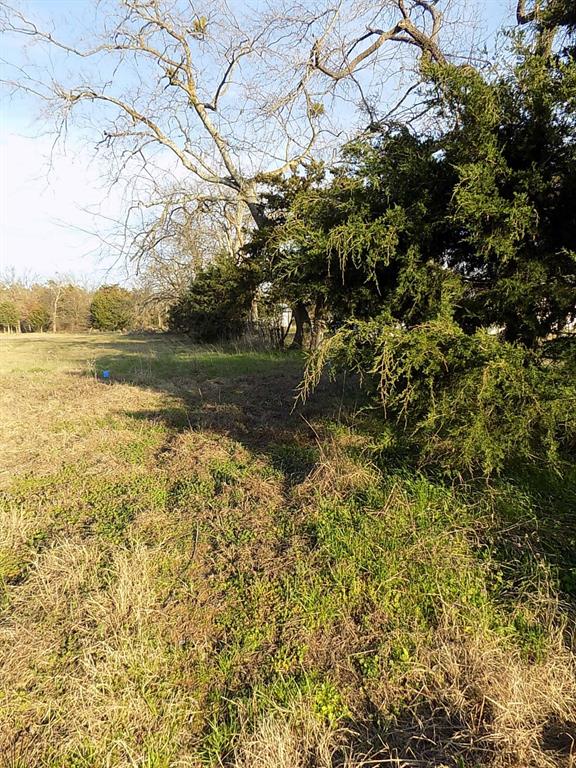 View down fence line to back of property