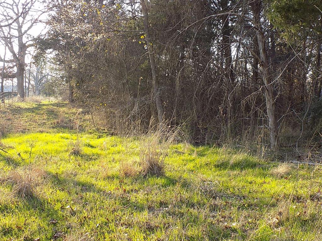 3410 County Road 3410 Emory, TX 75440 - Photo 11 of 12 View into property