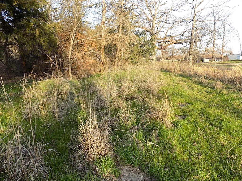 3410 County Road 3410 Emory, TX 75440 - Photo 5 of 12 Back of property view