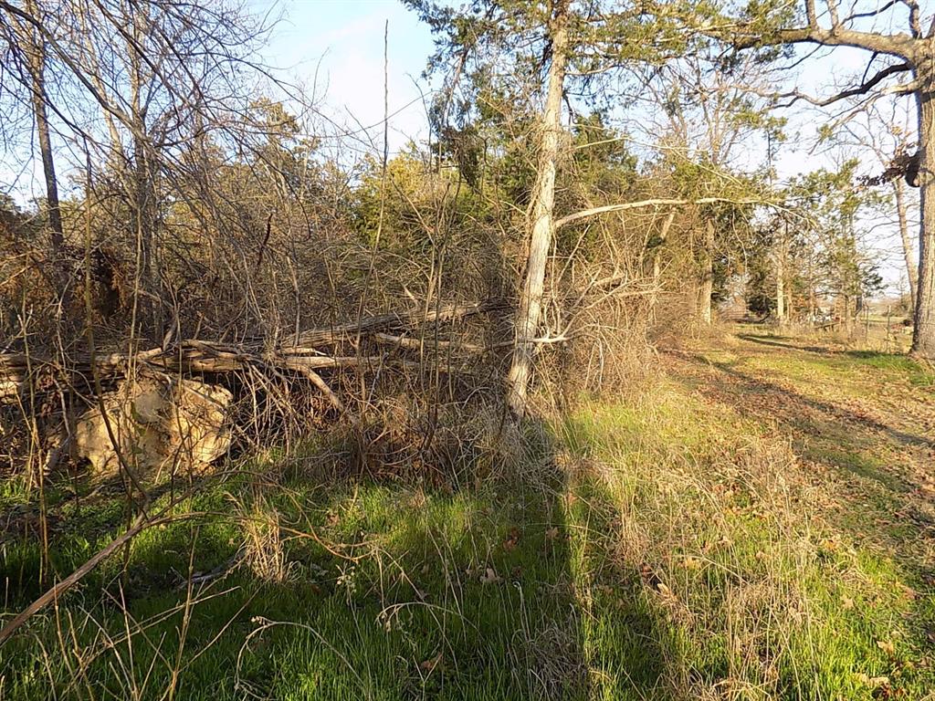 3410 County Road 3410 Emory, TX 75440 - Photo 6 of 12 Walking towards back sidee of property
