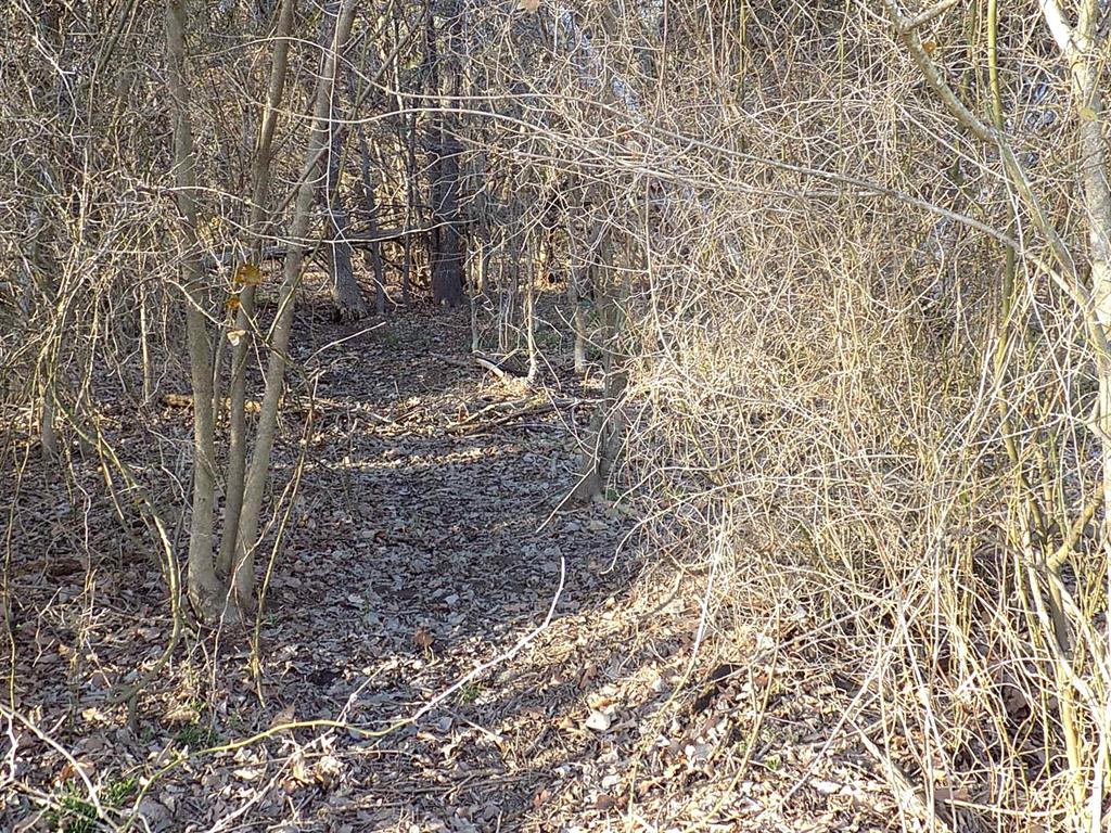 3410 County Road 3410 Emory, TX 75440 - Photo 9 of 12