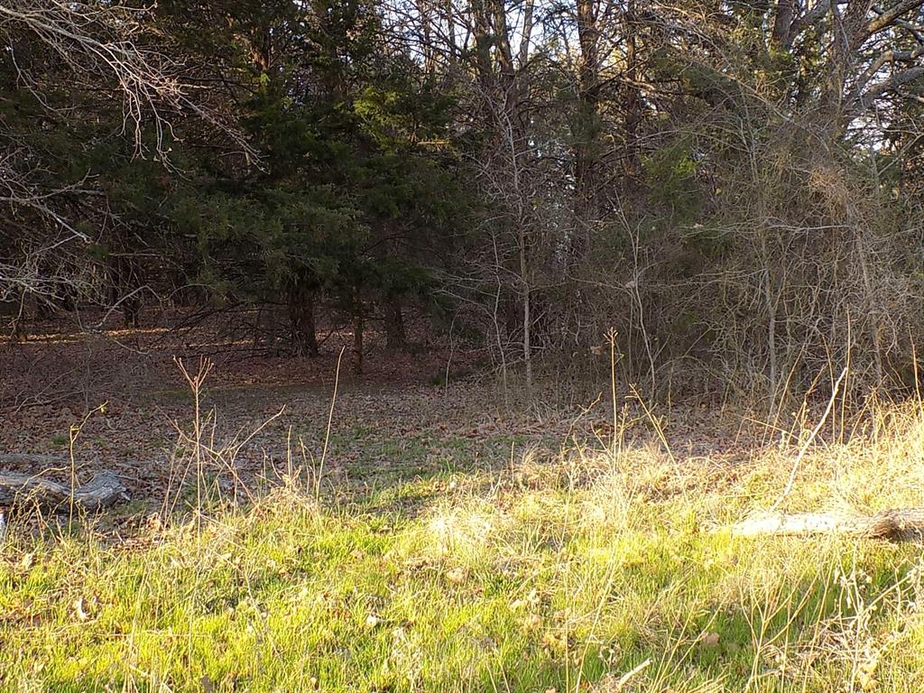 3410 County Road 3410 Emory, TX 75440 - Photo 10 of 12