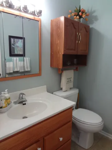 a bathroom with a sink a toilet and mirror
