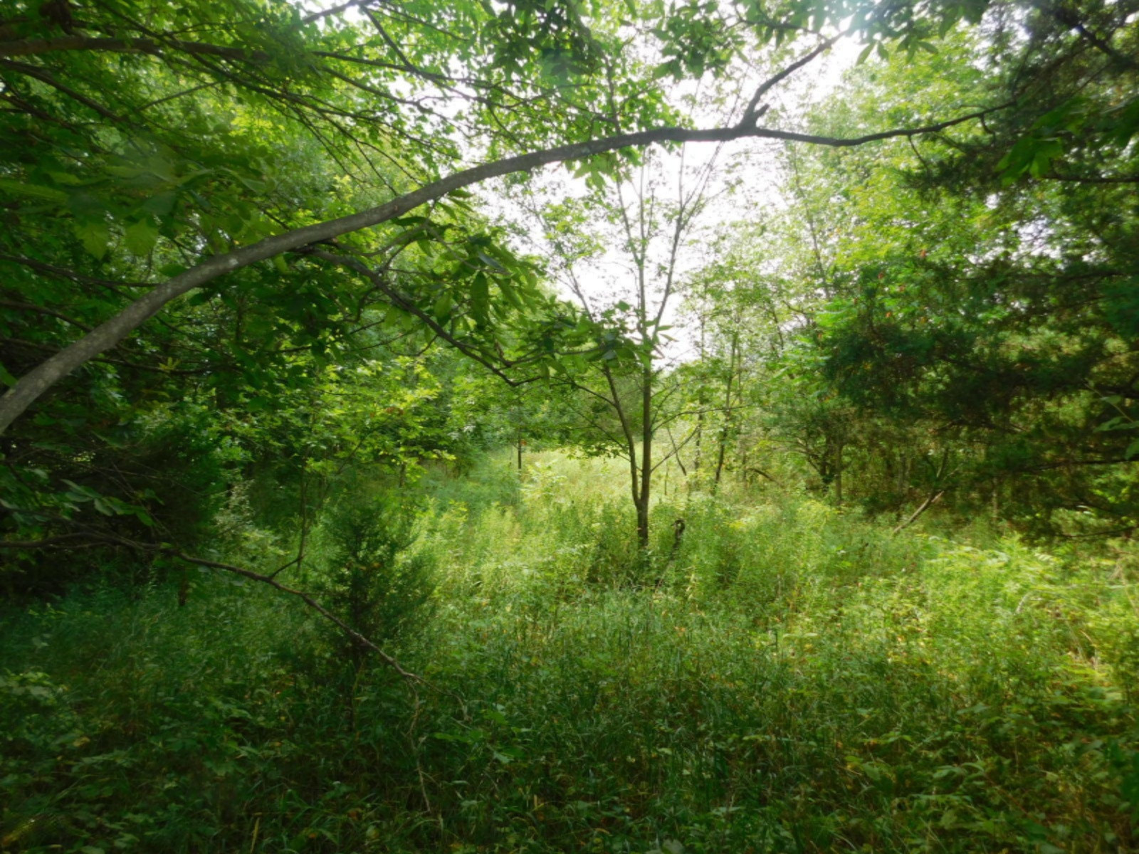 Moore Road Tekonsha, MI 49092 - Photo 1 of 5 056